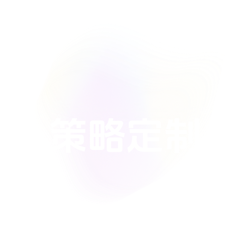 策略定制